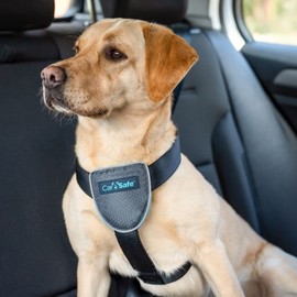 CarSafe Dog Travel Car Harness - from the makers of Halti. Safely Secure your Dog in the Car, Ensures Road Laws and Insurance Terms when Travelling with your Pet, for Toy, Small, Medium and Large Dogs