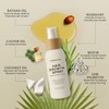 Lebanta Hair Growth Oil Spray - 100% Pure Ingredients For