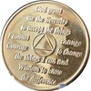 31 Year AA Founders Medallion Gold Plated Sobriety Chip