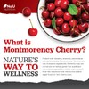 Montmorency Cherry Capsules 3200mg – High-Strength Tart Cherry Extract –