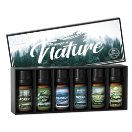 HIQILI Spice Fragrance Oil, Scented Oil 6x10ml for Candle Making Soap Slime, Fall Essential Oils for Diffuser Home, Cinnamon Pumpkin Vanilla Apple Cider Harvest Spice Fall Leaf, Christmas