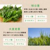 沖縄与那国産 長命草の与那国青汁 30包（約30日分） 抹茶味