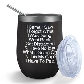 Adimidy Tumbler I Came I Saw I Forgot What I Was Doing Tumbler Insulated for Hot and Cold Tumbler with Lids and Straws Christmas Gift for Aunt for Outdoor
