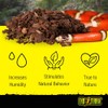Exo Terra Forest Bark Natural Terrarium Substrate, 4 Quarts, PT2750