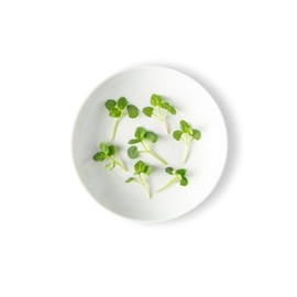 Fresh Origins-Micro Greens, Shiso Green, 16 oz (4 packs of 4 oz each), Unique Green Leaves, Mild Shiso Flavor, Hand-Picked Freshness
