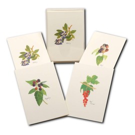 Earth Sky + Water - Berry Assortment Notecard Set - 8 Blank Cards with Envelopes (2 each of 4 styles)