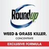 Roundup Weed and Grass Killer₄ Concentrate, Use Around Flower Beds