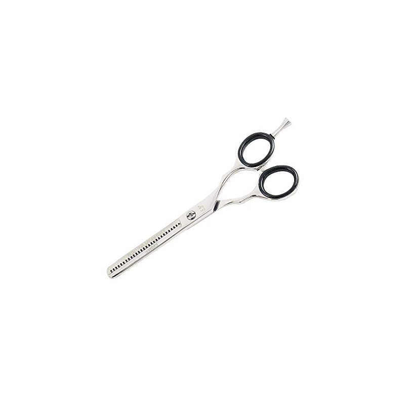 Aashta Hairdressing Scissors 5.5 Inches