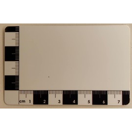 AR Metal Detecting Scale Card