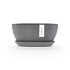 Sofia Flower Pot Collection - Designer Planter for Small Spaces