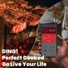 WiFi Bluetooth Wireless Meat Thermometer,Smart Wireless Meat Thermometer Digital Real-Time