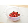 Entec ABCD302 Antibacterial One-Mouth Ball, Natural, Medium, MS-105N, Polypropylene, Japan