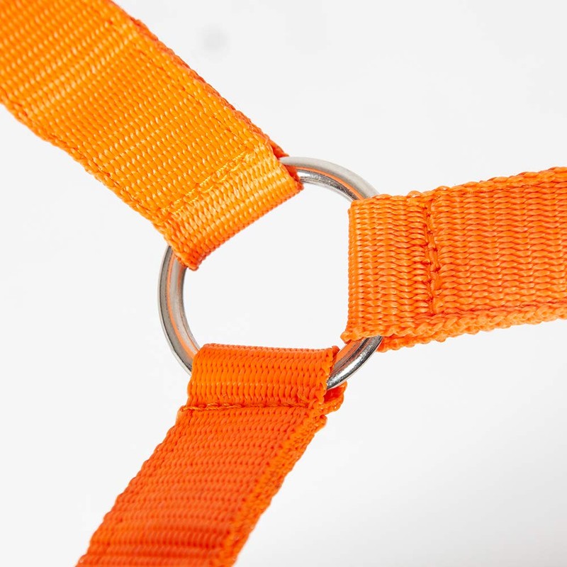 PFIFF Jocose 102921 Safety Halter Paddock Headcollar Orange Shetty