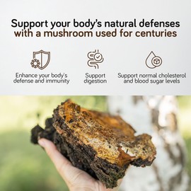 Ambervit Chaga Mushroom Capsules 8000mg C High-Strength Chaga Supplement C Dual Extract with 30% Polysaccharides C 180 Capsules C Fruiting Body C Wild-Harvested from Birch Trees C Ambervit