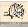Rat Rubber Stamp, Realistic Pet Art