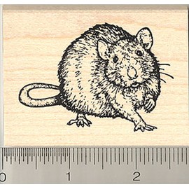 Rat Rubber Stamp, Realistic Pet Art
