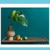 Hanaive 2 Pcs 40 Inch x 4. 1 Inch Jumbo