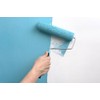 Purdy 144644091 Parrot Roller Cover Replacement, 9 inch x 1/4