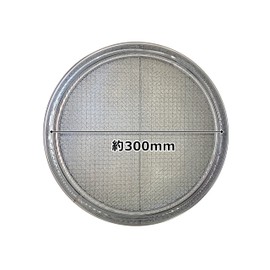 Wiz'A 727336 Arclans Fleui Stainless Steel Garden Filter, Replacement Net, 11.8 inches (30 cm)