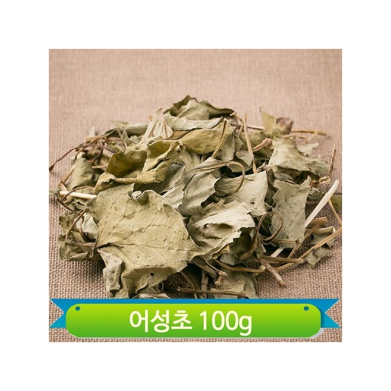 국내산 건조 어성초 100g 영양 식수대용 진한향 약초 정성담은 재료