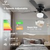 Vagizm 42 Inch Ceiling Fan Traditional: Flush Mount with LED