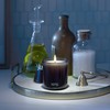 Sprig by Kohler Breathe Aromatherapy Candle with Eucalyptus and Mint,