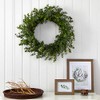 Nearly Natural 24in. Eucalyptus Artificial Wreath