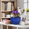 Dphagesy African Violet Pots Self Watering 6 inch Round Ceramic