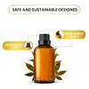 Carno Calm Cedarwood Essential Oil | 100% pure & natural