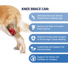 DJHOHJ Rodillera ACL para Perros,Protector de Patas traseras,para Perros displasia de Cadera, Alivio del Dolor de Artritis, osteoartritis y Lesiones de ligamento, Soporte de Neopreno Ajustable (L)