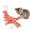 Unbranded Shrimp Moving Toy With USB Power Cable Durable For