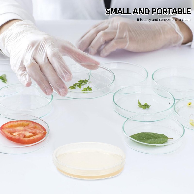 Agar Plates Petri Dishes: 10PCS Science Petri Dishes Petri Nutrient