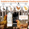 2Pack Chicken Grit and Oyster Shell Feeder, Poultry Feeder with