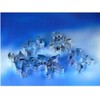 Staedter 5 Sea Animals Cookie Cutter Set, Tinplate Stainless Steel,
