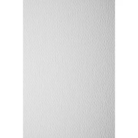 Netuno 10 x Cardboard White Textured on Both Sides DIN A4 210 x 297 mm 250 g Prism Bianco for Card Making Invitations Business Cards Diplomas Certificates for Crafts and Decorating