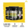 EVOLUTION, Aminoácidos BCAA, Suplemento Alimenticio, Leucina, Sin Gluten, Pre Workout,