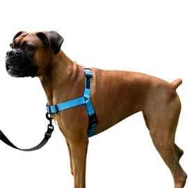ShawnCo Dream Walk No-Pull Dog Harness- Adjustable, Comfortable, Easy to Use Pet Halter to Help Stop Pulling for Small, Medium and Large Dogs (Oceanic Blue, S)