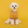 FLOT Designer Dog Shirt with Buttons Premium Materials Tailored Fit