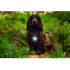 Mountain Paws Dog Collar Safety Light, 4 Colour Modes &