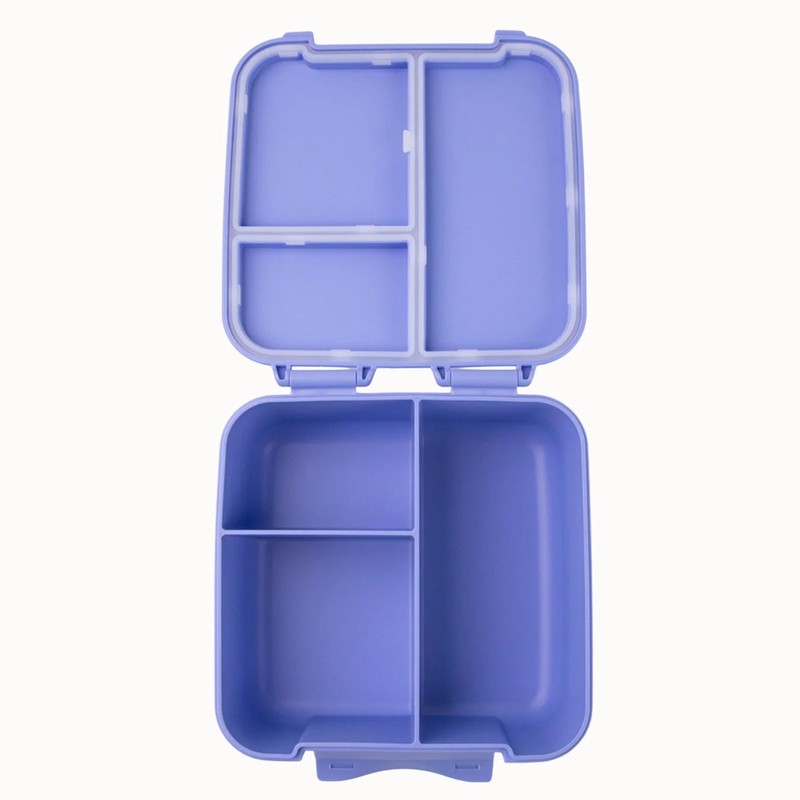 MontiiCo Bite Lunch Box, Splash