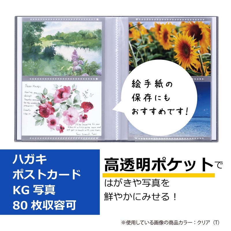 Sekisei PKH-7482 File Postcard Holder, Pakkun, Clear