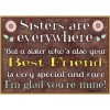 Sisters Are Evereywhere But... Also Your Best Friend Magnet 2.5"