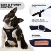 Dog Harness and Leash Set, XXS No Pull Adjustable Puppy