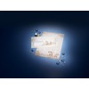 SIGEL DU228 Envelopes Christmas | in Atmospheric Design with Reindeer