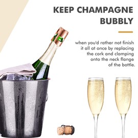 Champagne Stopper Stainless Steel Pack of 2, HYZ Rose Gold Bottle Sealer for Champagne, Cava, Prosecco and Sparkling Wine, Air-tight and Leak-proof Sparkling Wine Stopper Saver