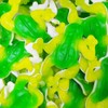Smarty Stop Assorted Gummy Rainforest Frogs Candy (2 LB)
