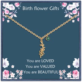 Nupdot May Birth Flower Necklaces Birthday Gifts for Women| 14K Gold Plated Birth Month Floral Hawthorn Pendant Birthstone Necklace Jewelry Gifts for Mom Friends