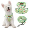 MUMUPET Dog Harness with Leash Set,No Pull Adjustable Step in