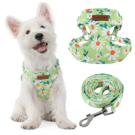 MUMUPET Dog Harness with Leash Set,No Pull Adjustable Step in Puppy Harness with Padded Vest for Small Medium Large Dogs and Cats