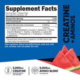 Nutricost Creatine + Aminos 30 Servings (Watermelon Flavored) - 5,000mg Creatine Monohydrate + 5000mg Amino BCAA Blend Per Serving